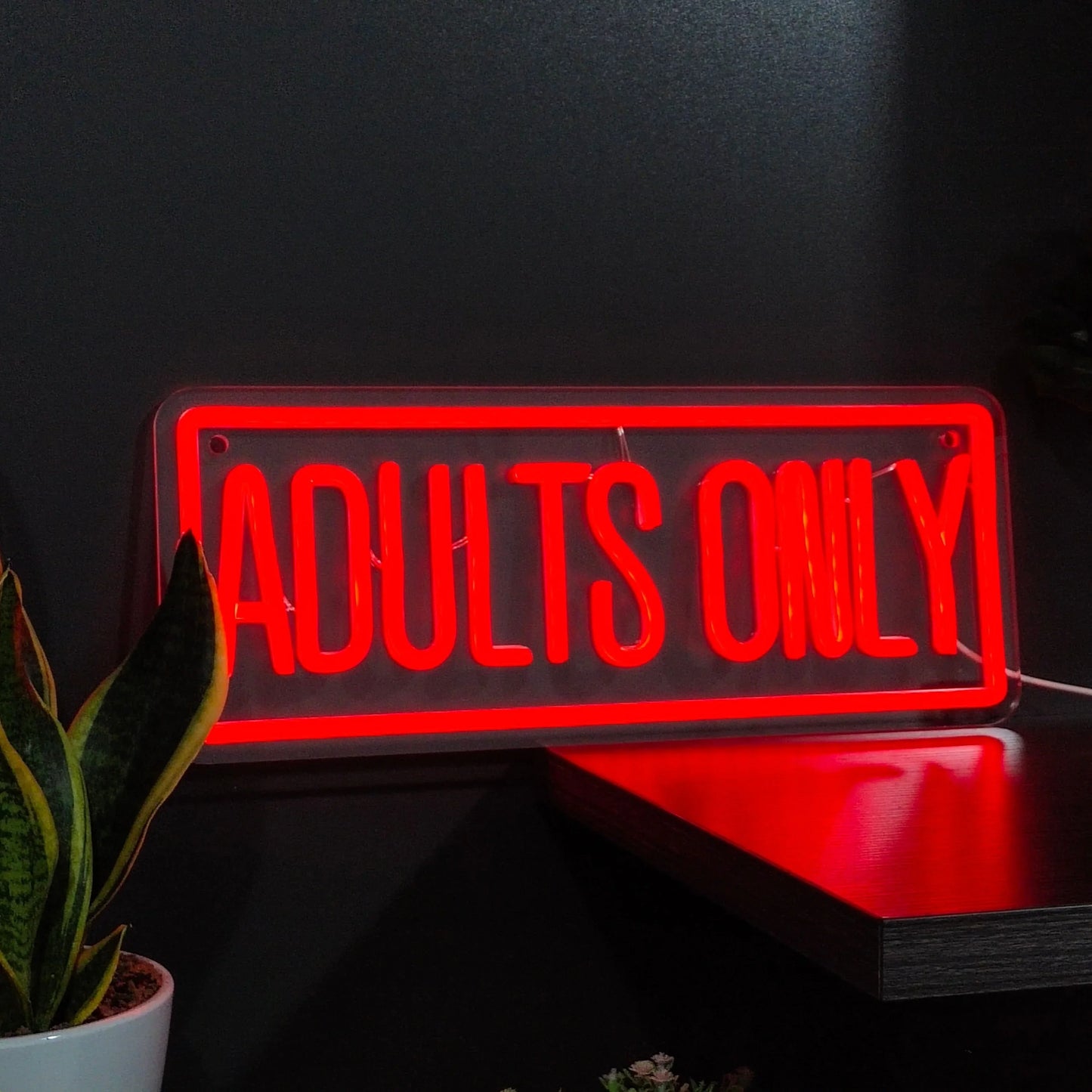 Bold Red 'Adults Only' Neon Sign: USB-Powered