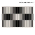 Nordic Black Stripe Area Rug for Living Room Bedroom Minimalist Design Plush Non-Slip Floor Mat